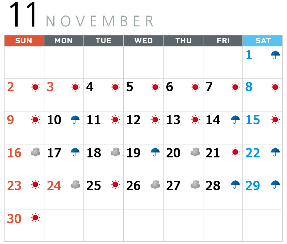 11月